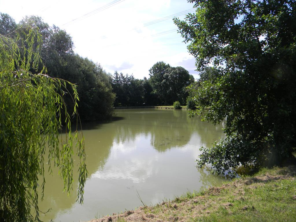 Domaine Des Mille Oiseaux Villa Villiers-Charlemagne Bagian luar foto