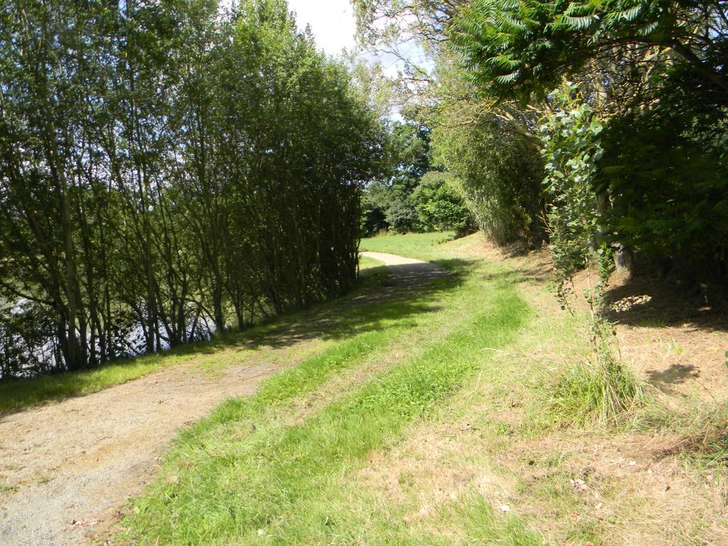 Domaine Des Mille Oiseaux Villa Villiers-Charlemagne Bagian luar foto
